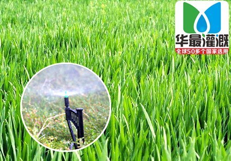 小麦喷灌设备