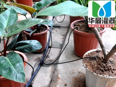 滴箭系统应用细节