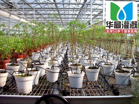 滴箭系统产品
