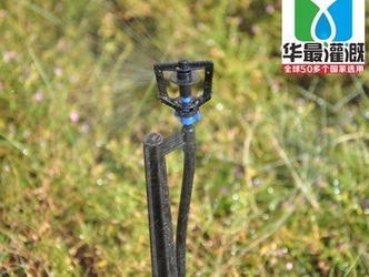蔬菜使用喷灌设备灌溉不只节水还能增产