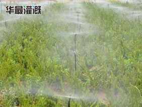 节水灌溉系统中水溶性肥料选择时有哪些注意事项