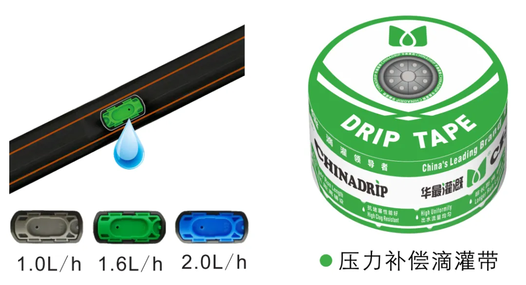 灌溉管网设计与布置