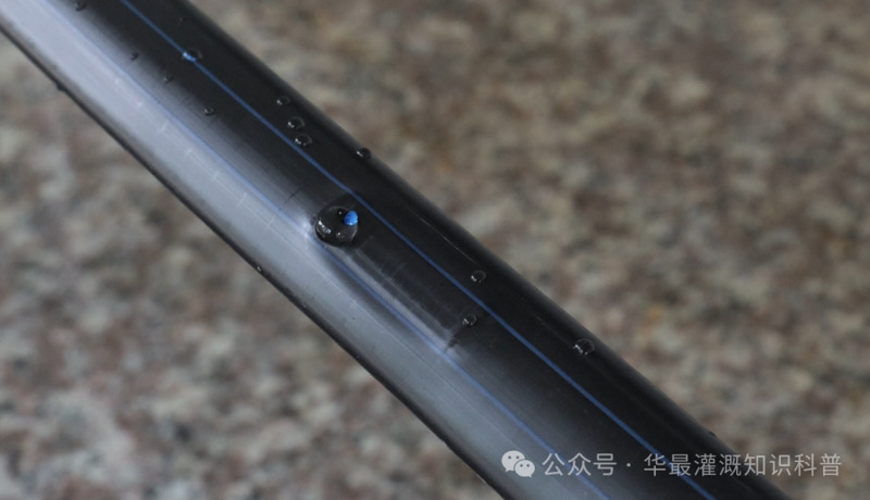 AG贵宾会滴灌带
