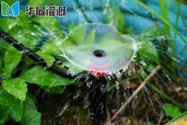 可调式地插涡流喷头